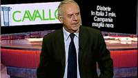 SALUTE SOSTENIBILE. IL DIABETE. Pasqualino Calatola 